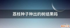 荔枝种子种出的树结果吗