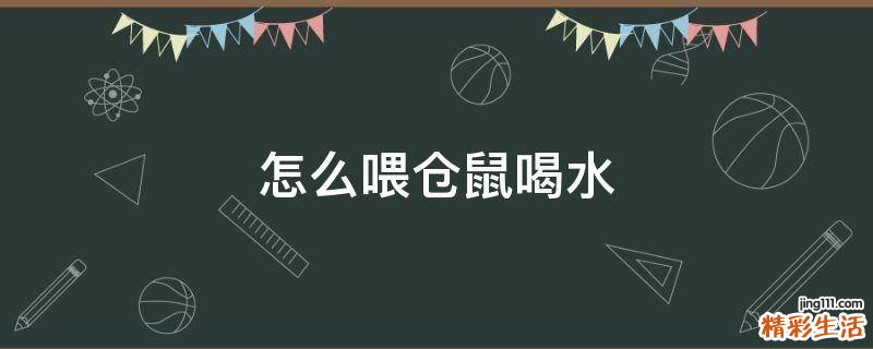 怎么喂仓鼠喝水