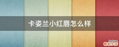 卡姿兰小红唇怎么样