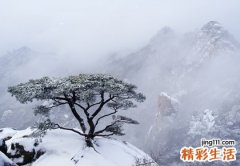 道家流传千年的七大养肾藏精法