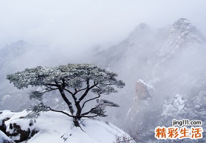 道家流传千年的七大养肾藏精法
