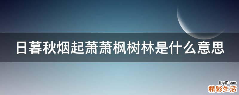 日暮秋烟起萧萧枫树林是什么意思