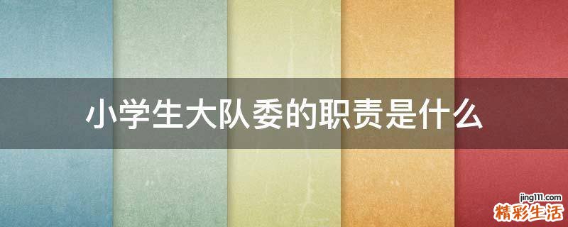 小学生大队委的职责是什么