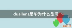 duallens是华为什么型号