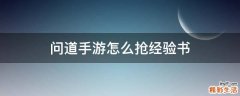 问道手游怎么抢经验书