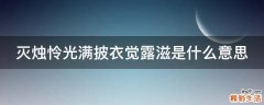 灭烛怜光满披衣觉露滋是什么意思
