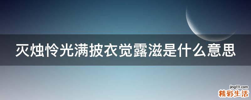 灭烛怜光满披衣觉露滋是什么意思