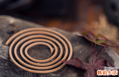 你会用香么？快向古人学学用香！