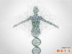基因可预测人类死亡时间？死亡早已天注定？