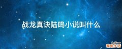 战龙真诀陆鸣小说叫什么