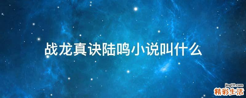战龙真诀陆鸣小说叫什么