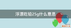 浮漂吃铅25g什么意思
