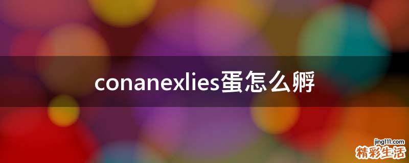 conanexlies蛋怎么孵