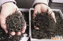 专家教你如何分辨陈茶、残茶