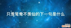 只羡鸳鸯不羡仙的下一句是什么