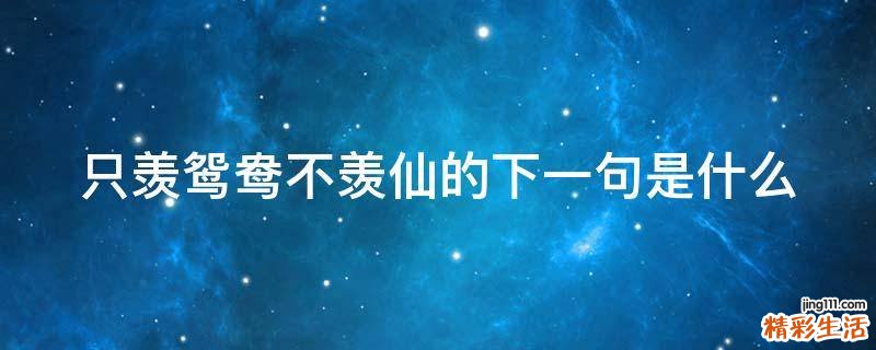 只羡鸳鸯不羡仙的下一句是什么