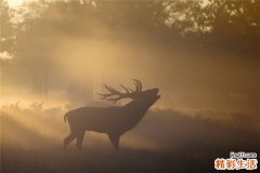 太极拳养生要领