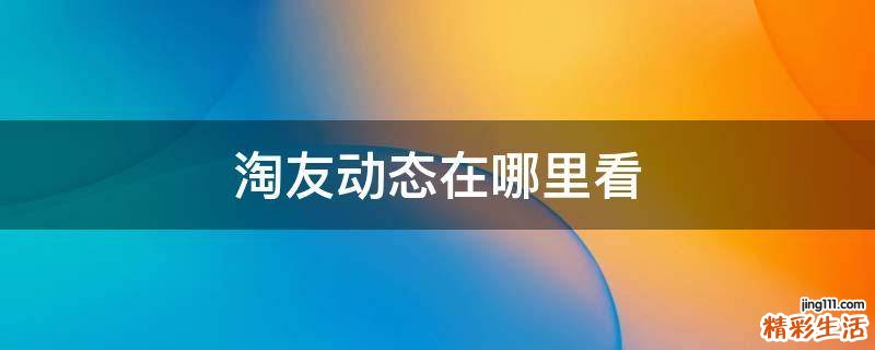 淘友动态在哪里看