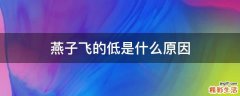 燕子飞的低是什么原因