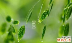谷雨养生 学会这三招