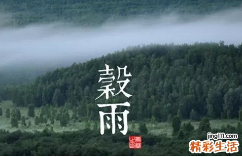 谷雨养生“补”为重 饮食切记五个“低”！