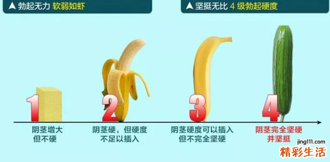 丁丁硬度等级一览