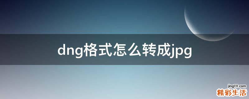dng格式怎么转成jpg