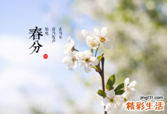 春分天气多变 养生食补重阴阳平衡
