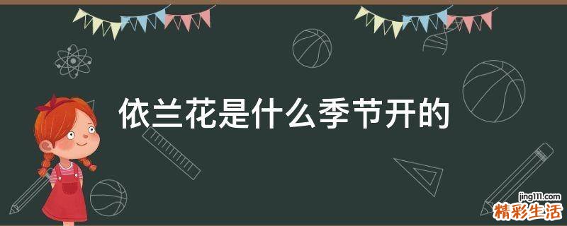 依兰花是什么季节开的