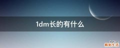 1dm长的有什么