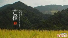 芒种节气如何养生？