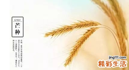 芒种来临注意休息多运动，换衣洗澡都要勤