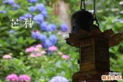 芒种时节到 别错过一年最好的保养时机！