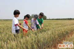 芒种时节易犯懒 中午午休能养阳