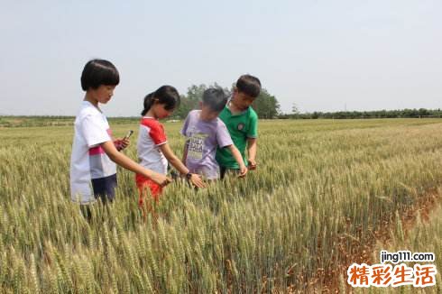 芒种时节易犯懒 中午午休能养阳