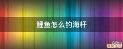 鲤鱼怎么钓海杆
