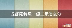 龙虾尾特级一级二级怎么分
