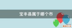 宝丰县属于哪个市