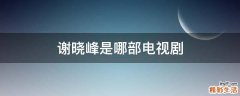 谢晓峰是哪部电视剧