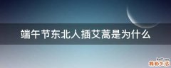 端午节东北人插艾蒿是为什么
