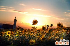 中药什么季节喝效果好
