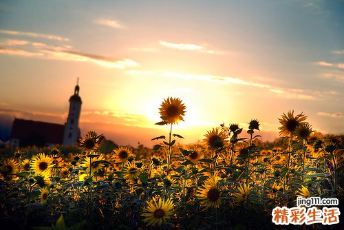中药什么季节喝效果好