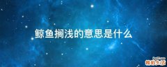 鲸鱼搁浅的意思是什么