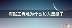 海贼王青雉为什么加入黑胡子