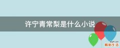 许宁青常梨是什么小说