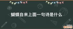蝴蝶自来上面一句诗是什么