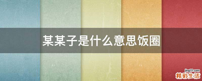 某某子是什么意思饭圈