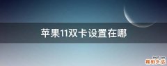 苹果11双卡设置在哪