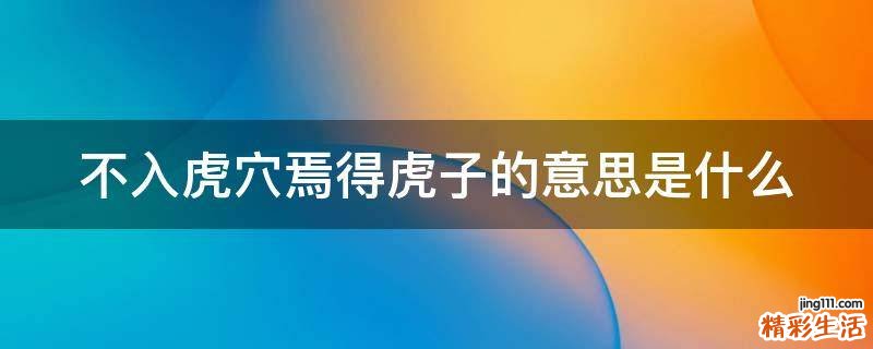 不入虎穴焉得虎子的意思是什么