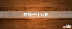 静静子什么梗